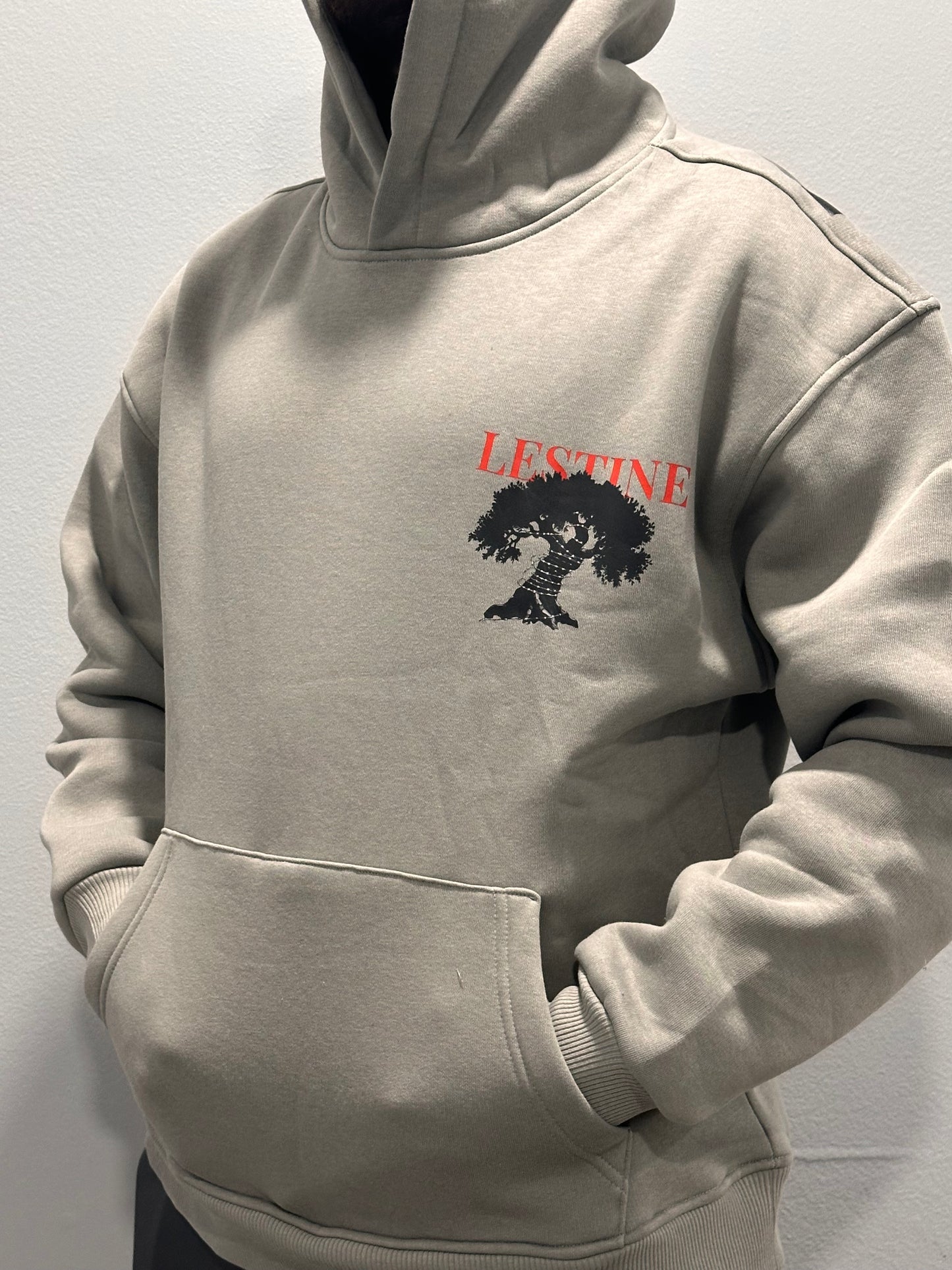 (Gray) Zaytoona Collection Hoodie