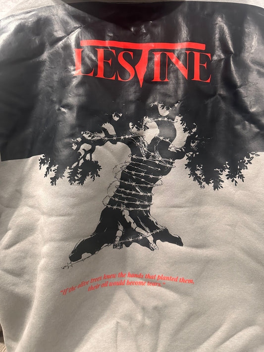 (Gray) Zaytoona Collection Hoodie