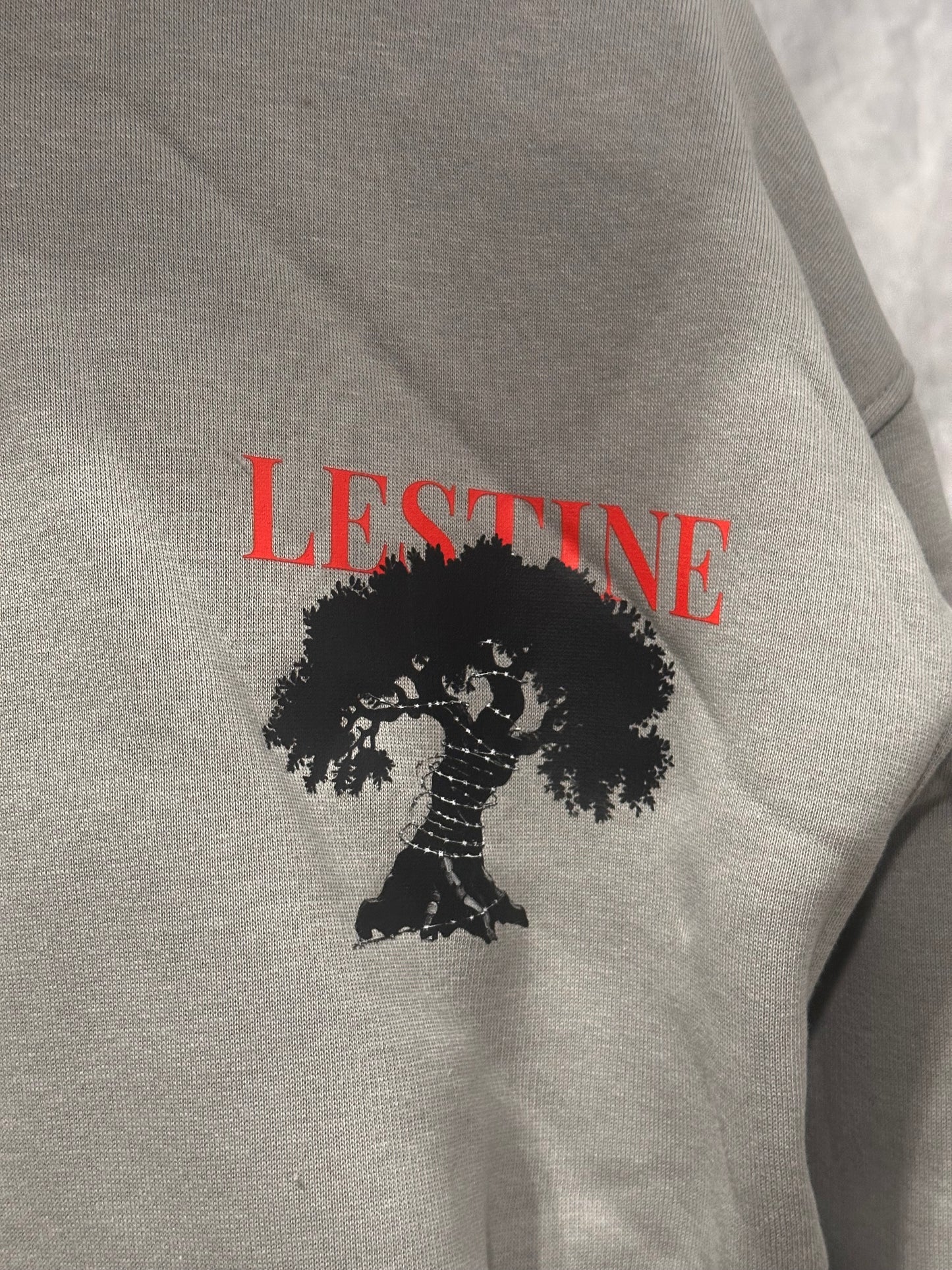 (Gray) Zaytoona Collection Hoodie